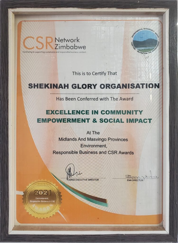 Excellence in Economic Empowerment and Social Impact (2021)