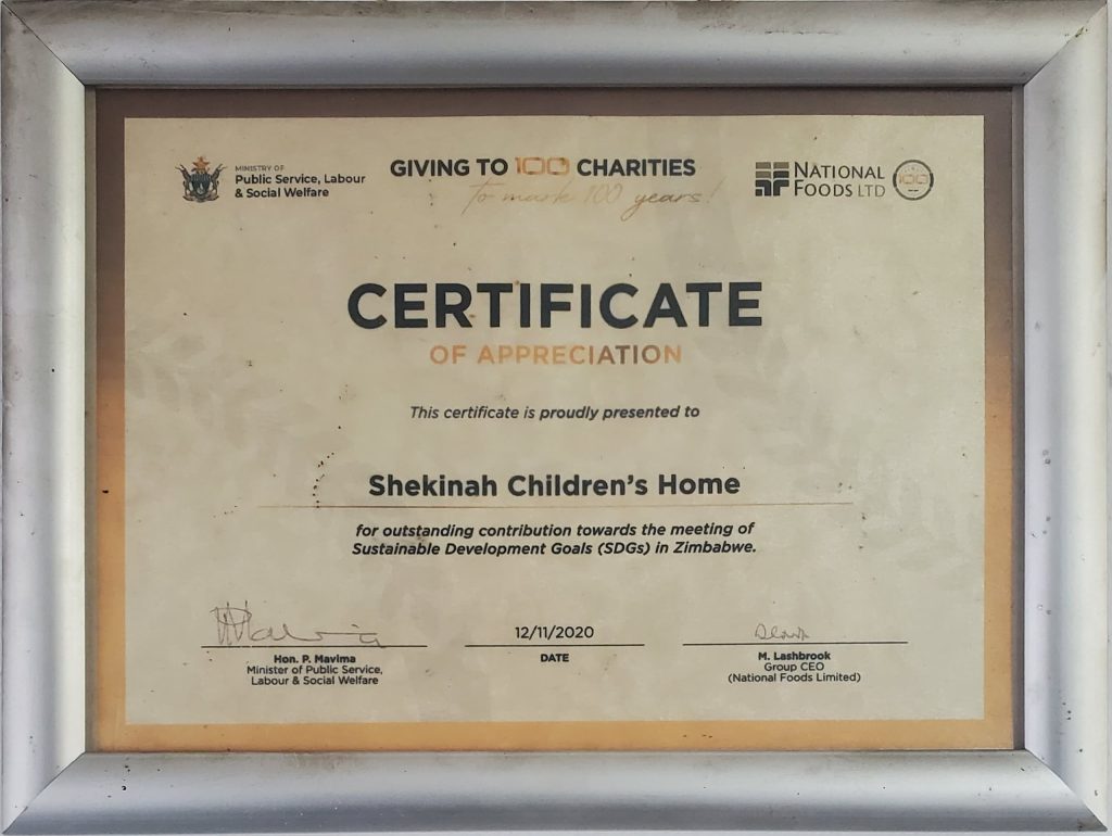 Outstanding Contribution towards the meeting of Sustanable Develepment Goals (SDG) In Zimbabwe (2020)