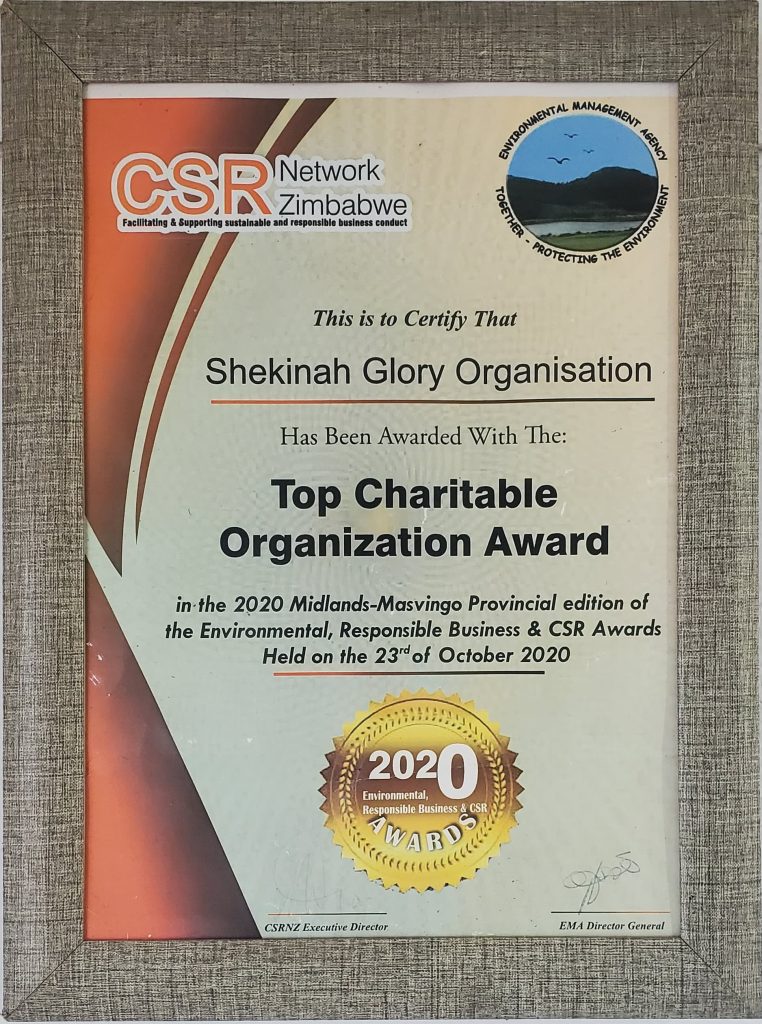 Top Charitable Organization Award (2020)